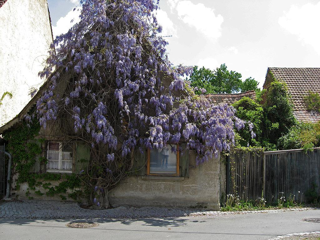 Die Sprachpension - The Language Guesthouse Фогтсбург Екстериор снимка