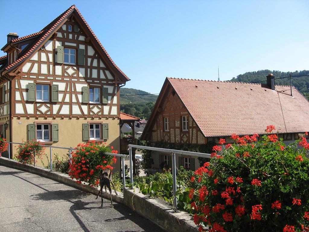 Die Sprachpension - The Language Guesthouse Фогтсбург Екстериор снимка
